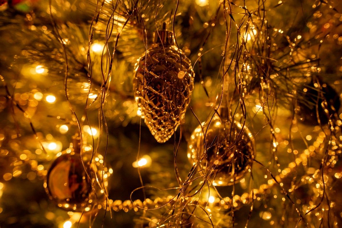 Sapin de Noël : le duel écologique entre naturel et synthétique