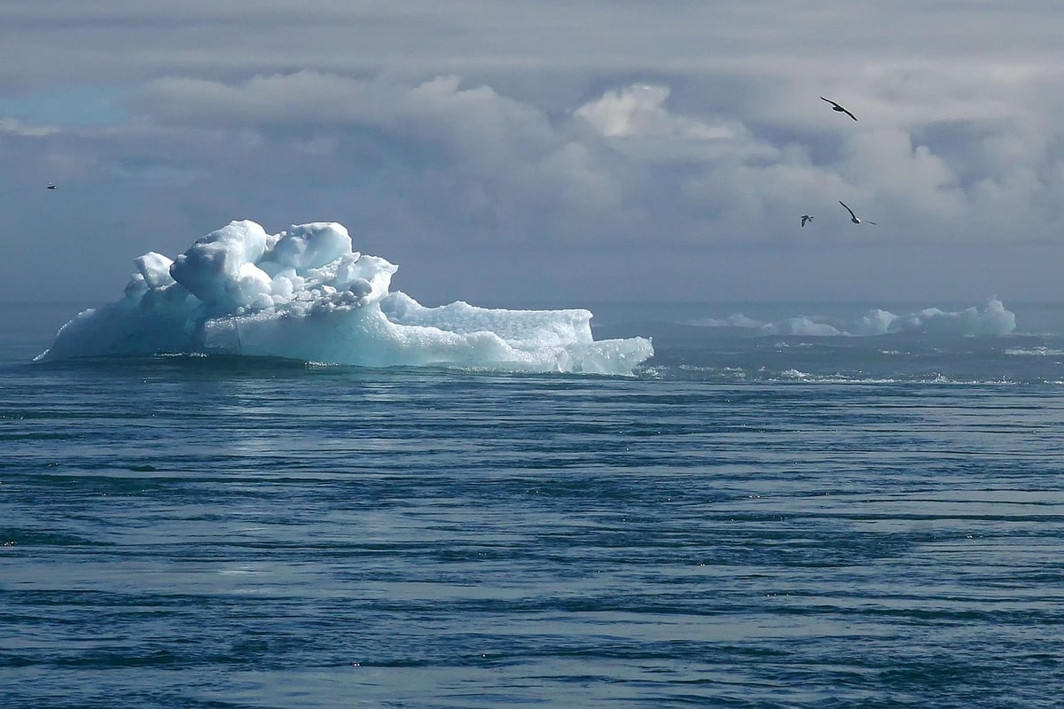 Comprendre le changement climatique : un atout pour réduire notre empreinte carbone