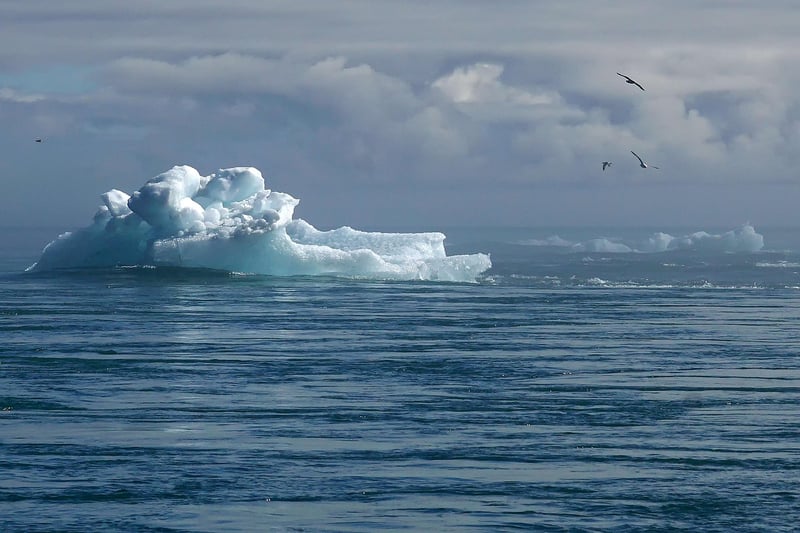 Comprendre le changement climatique : un atout pour réduire notre empreinte carbone