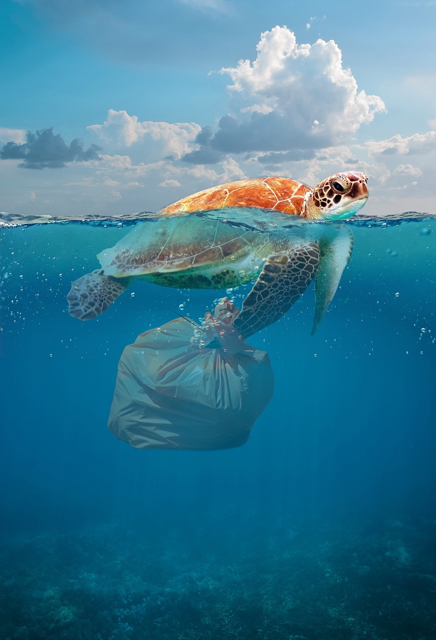 À la découverte de l’impact de la pollution et de l’empreinte carbone : Plongée à bord de Léxplore, le vaisseau scientifique du lac Léman pour étudier le moule quagga.