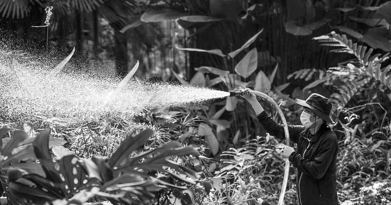 Les gestes qui économisent vraiment l'eau (et ceux qui ne servent à rien)