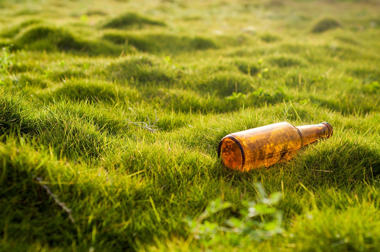 Protection des espèces : Stratégies pour préserver la biodiversité