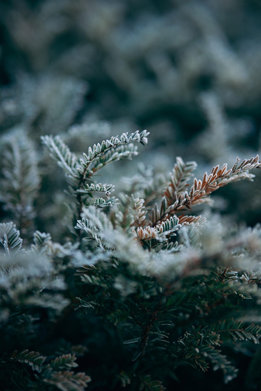 Écologie urbaine : Vers des villes plus vertes et durables
