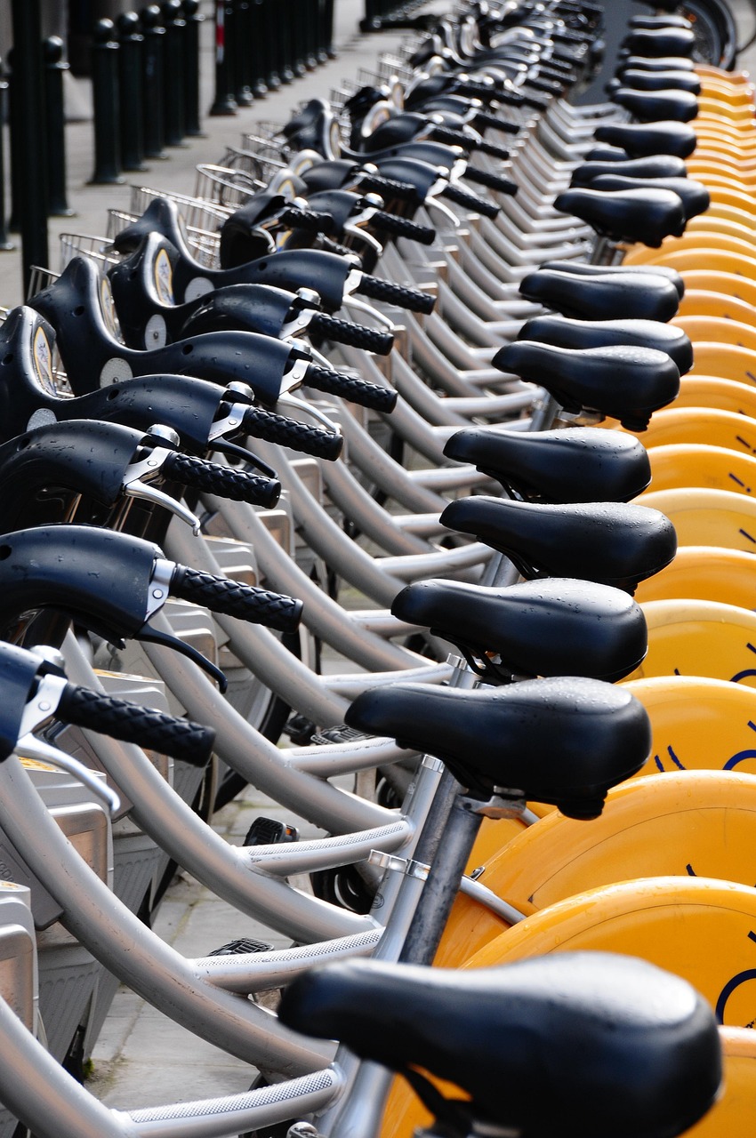 Villes durables : innovantes solutions pour un avenir écologique