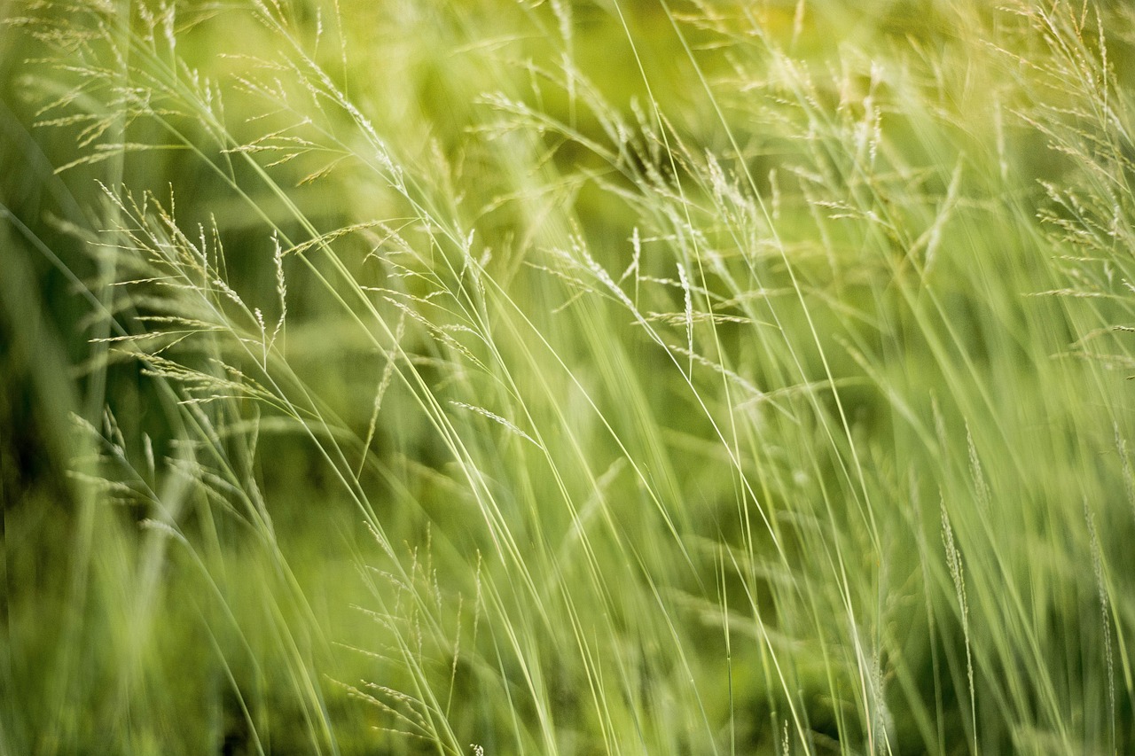 découvrez l'impact environnemental des activités humaines et des choix quotidiens. explorez les solutions durables pour préserver notre planète et minimiser les effets négatifs sur l'environnement. engageons-nous ensemble pour un avenir plus vert!