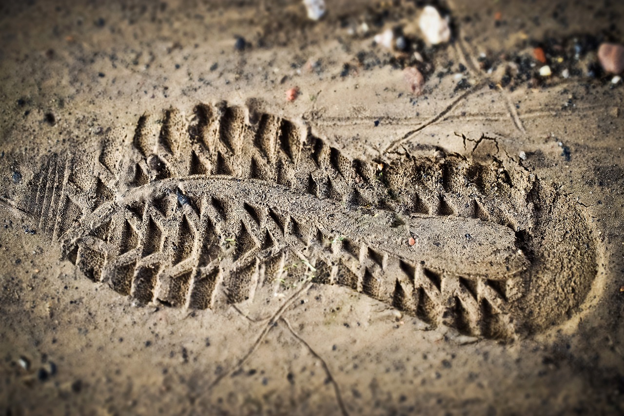 découvrez tout ce que vous devez savoir sur l'empreinte carbone, son impact sur l'environnement et les moyens de la réduire pour un avenir durable.