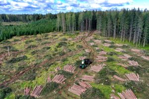 La foresterie : Actrice majeure ou mineure des émissions de gaz à effet de serre ?