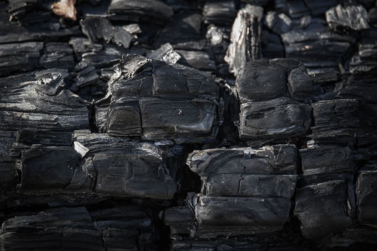 découvrez l'empreinte carbone, un indicateur clé de notre impact environnemental. apprenez comment réduire vos émissions de co2, adopter des pratiques durables et contribuer à la protection de notre planète.
