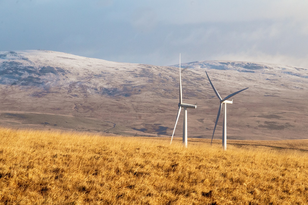 découvrez les enjeux et les bénéfices de l'énergie renouvelable, une solution incontournable pour un avenir durable. informez-vous sur les différentes sources d'énergie verte et leur impact positif sur l'environnement.