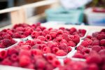 découvrez le marché du carbone, un système essentiel pour réduire les émissions de gaz à effet de serre. apprenez comment il fonctionne, ses enjeux et son impact sur l'économie et l'environnement.