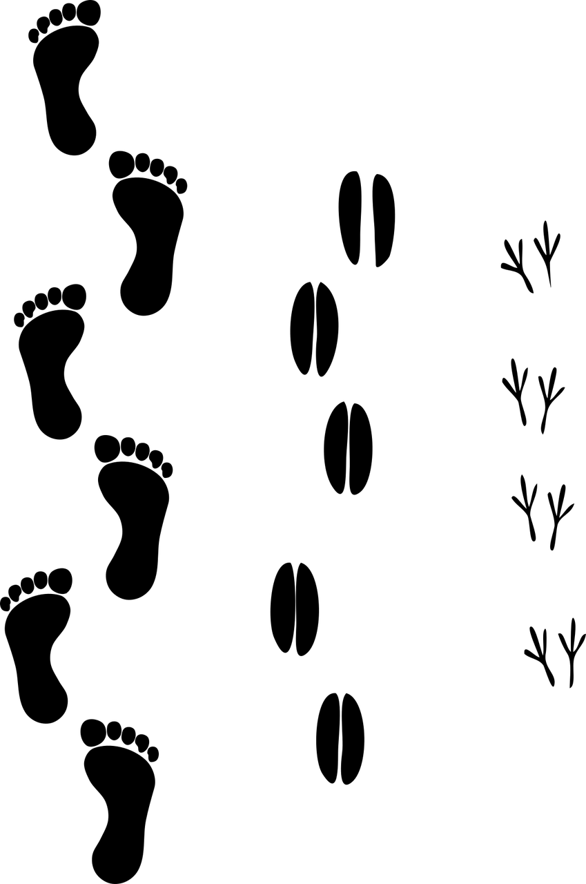 découvrez tout ce que vous devez savoir sur l'empreinte carbone, son impact sur notre planète et les moyens de la réduire pour un avenir durable.