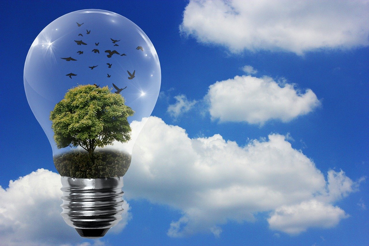découvrez les avantages des énergies renouvelables, une solution durable pour un avenir énergétique responsable. informez-vous sur les différentes sources comme le solaire, l'éolien et l'hydroélectrique, et comment elles contribuent à la protection de notre planète.