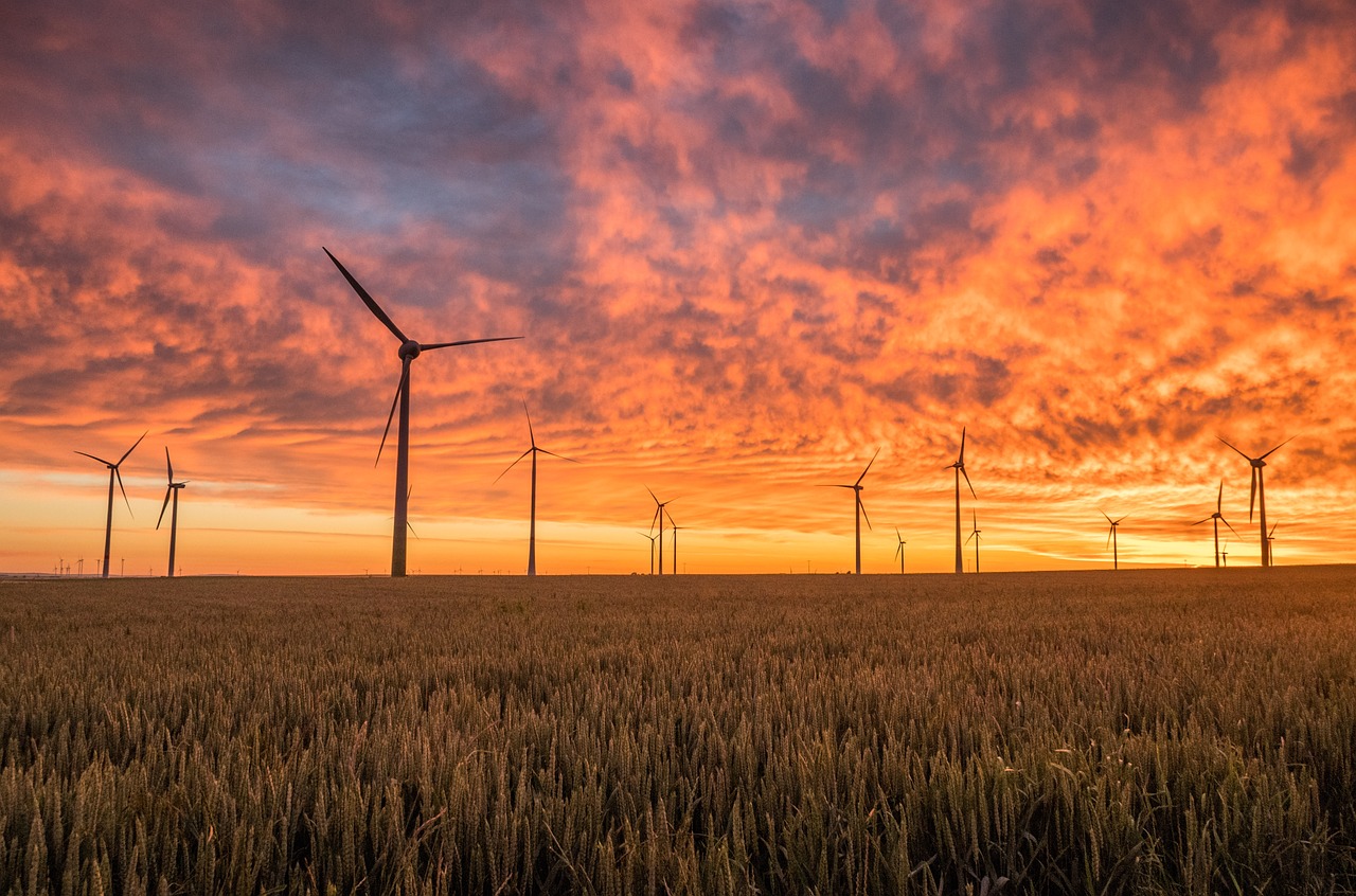 découvrez les avantages des énergies renouvelables, telles que l'énergie solaire, éolienne, et hydraulique. apprenez comment ces sources d'énergie durables contribuent à la protection de l'environnement et à la réduction des émissions de gaz à effet de serre.