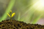 découvrez comment la durabilité transforme notre approche de l'environnement, de l'économie et de nos modes de vie. explorez des pratiques écoresponsables qui préservent notre planète pour les générations futures.