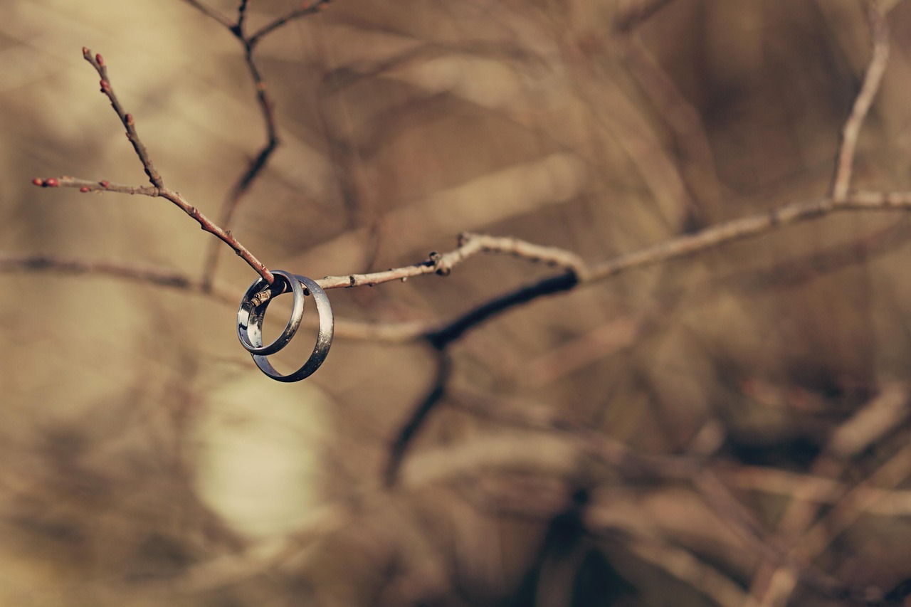 &Eacute;cuelles pleines : comment am&eacute;liorer la sant&eacute; de vos animaux ?
