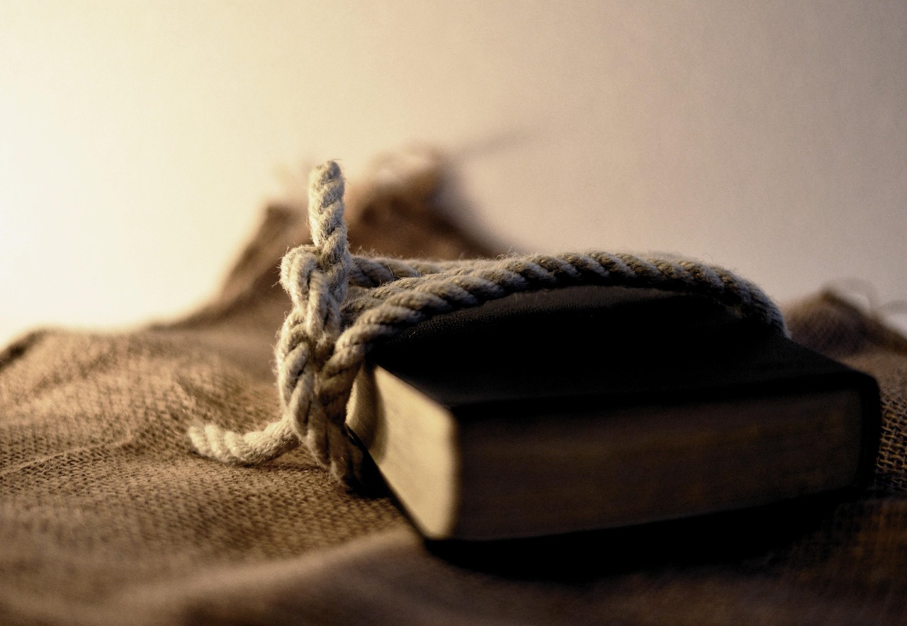 Biodegradabilit&eacute; : Comprendre son impact sur l&rsquo;environnement et nos choix quotidiens