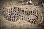 découvrez ce qu'est l'empreinte carbone, son impact sur l'environnement et les moyens de la réduire pour un avenir plus durable et écologique.