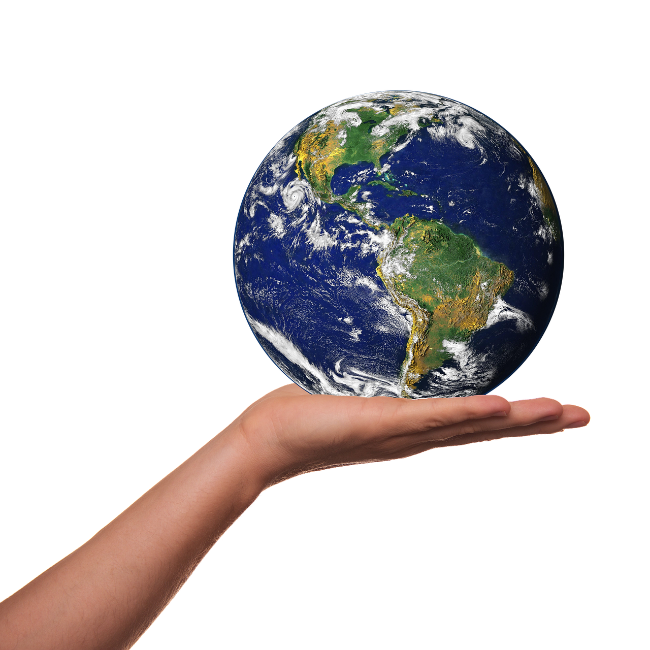 Sensibilisation environnementale : comprendre les enjeux pour un avenir durable