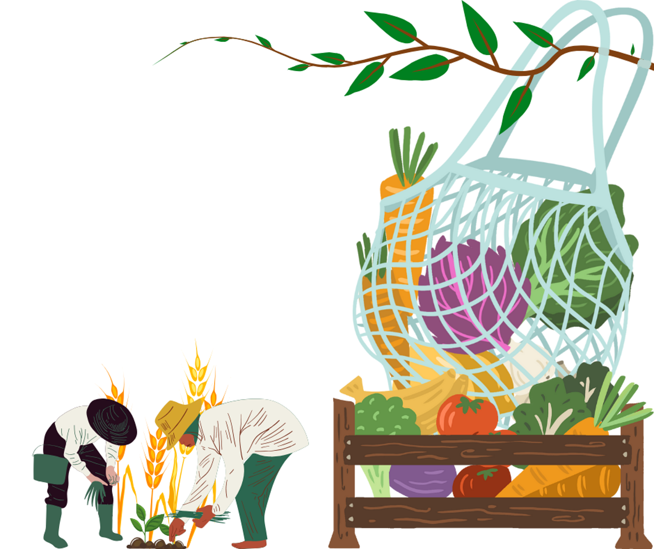 découvrez l'impact écologique du numérique : analysez les effets environnementaux liés à l'utilisation des technologies digitales et explorez des solutions pour réduire leur empreinte écologique.