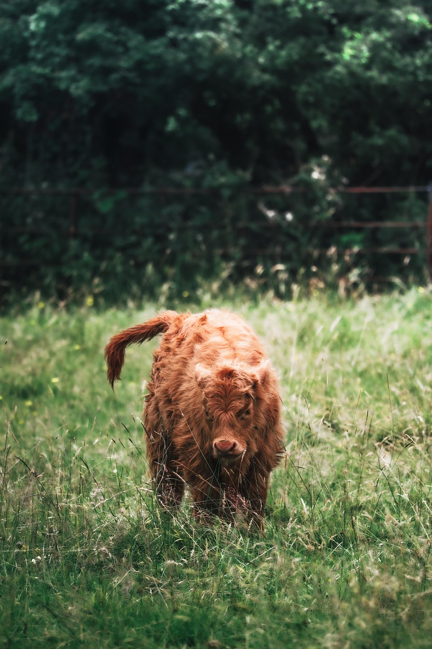 découvrez des informations essentielles, des actualités et des conseils pratiques sur l'environnement. protégez la planète grâce à des gestes écologiques et restez informé des enjeux environnementaux actuels.