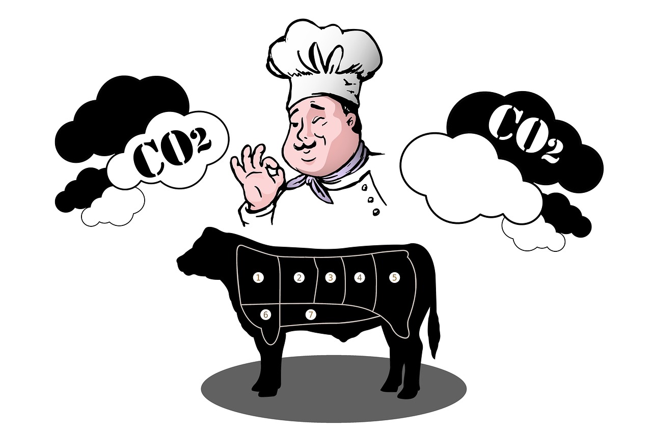 Comprendre son empreinte écologique : pourquoi le bilan carbone n’est qu’un début