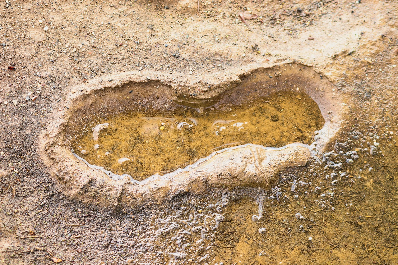 découvrez ce qu'est l'empreinte écologique, comment elle mesure l'impact de l'homme sur l'environnement et des conseils pratiques pour la réduire au quotidien.