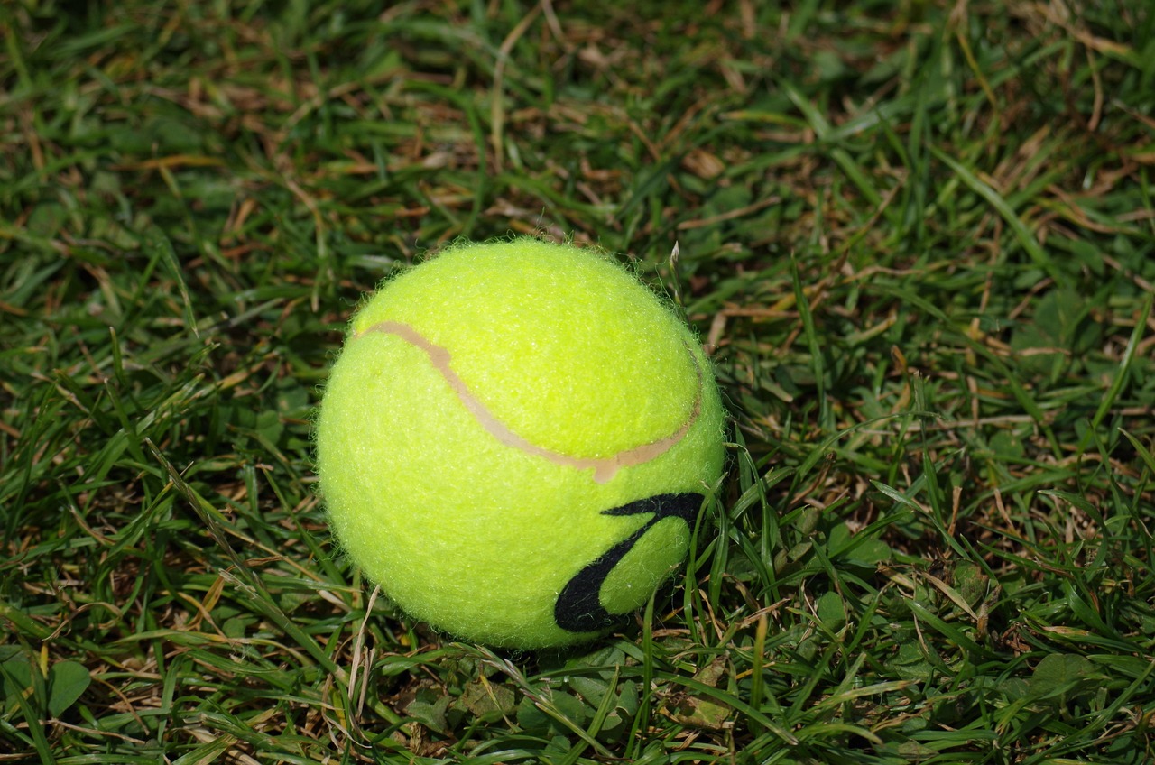 découvrez comment le tennis durable allie performance sportive et respect de l'environnement grâce à des équipements éco-responsables, des pratiques éthiques et des initiatives visant à réduire l'empreinte carbone sur les courts.
