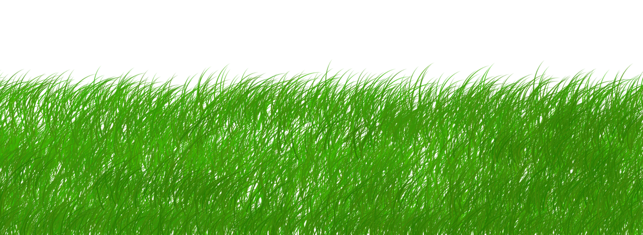 découvrez comment mener une transformation durable au sein de votre organisation avec des stratégies innovantes et responsables pour un avenir meilleur.