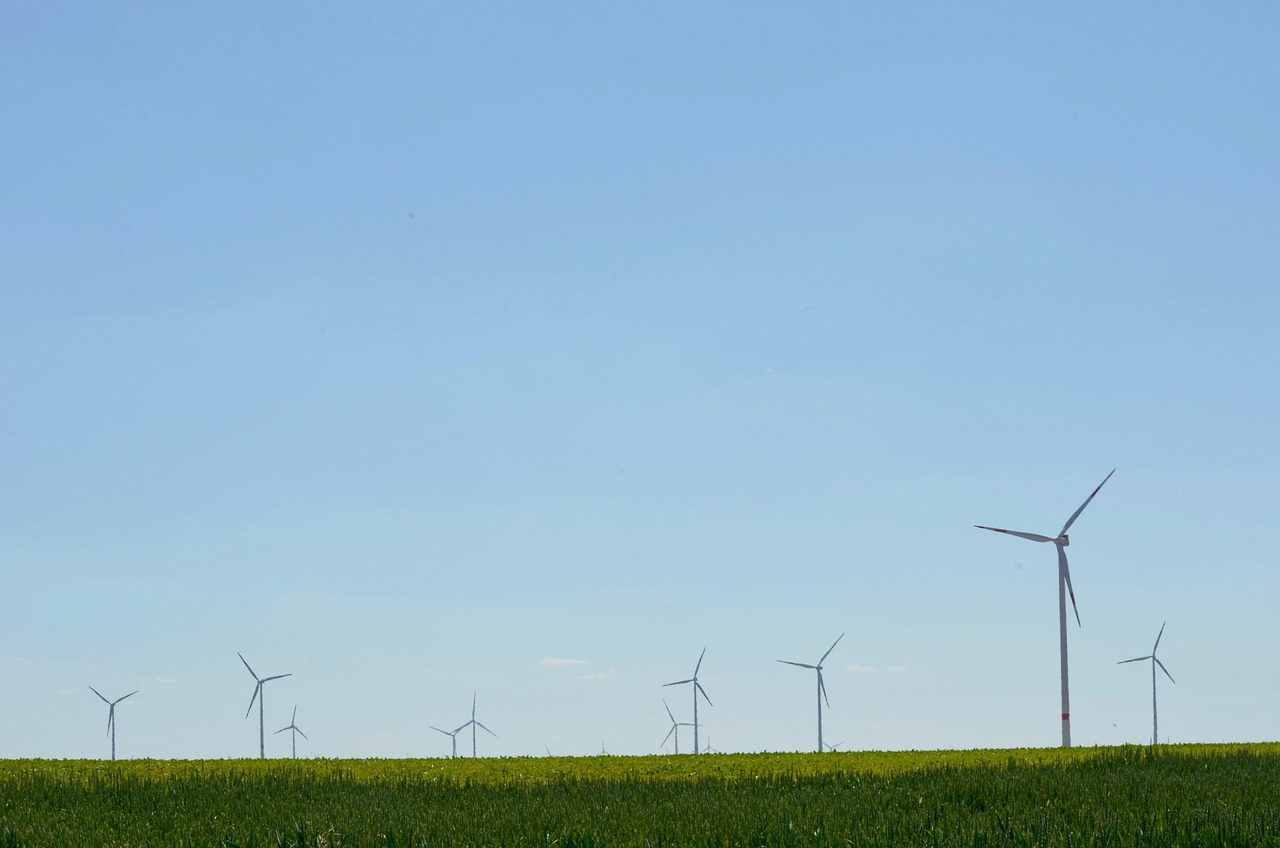 découvrez les enjeux et les solutions de la transition écologique pour un avenir durable, alliant innovation, protection de l'environnement et responsabilité sociale.