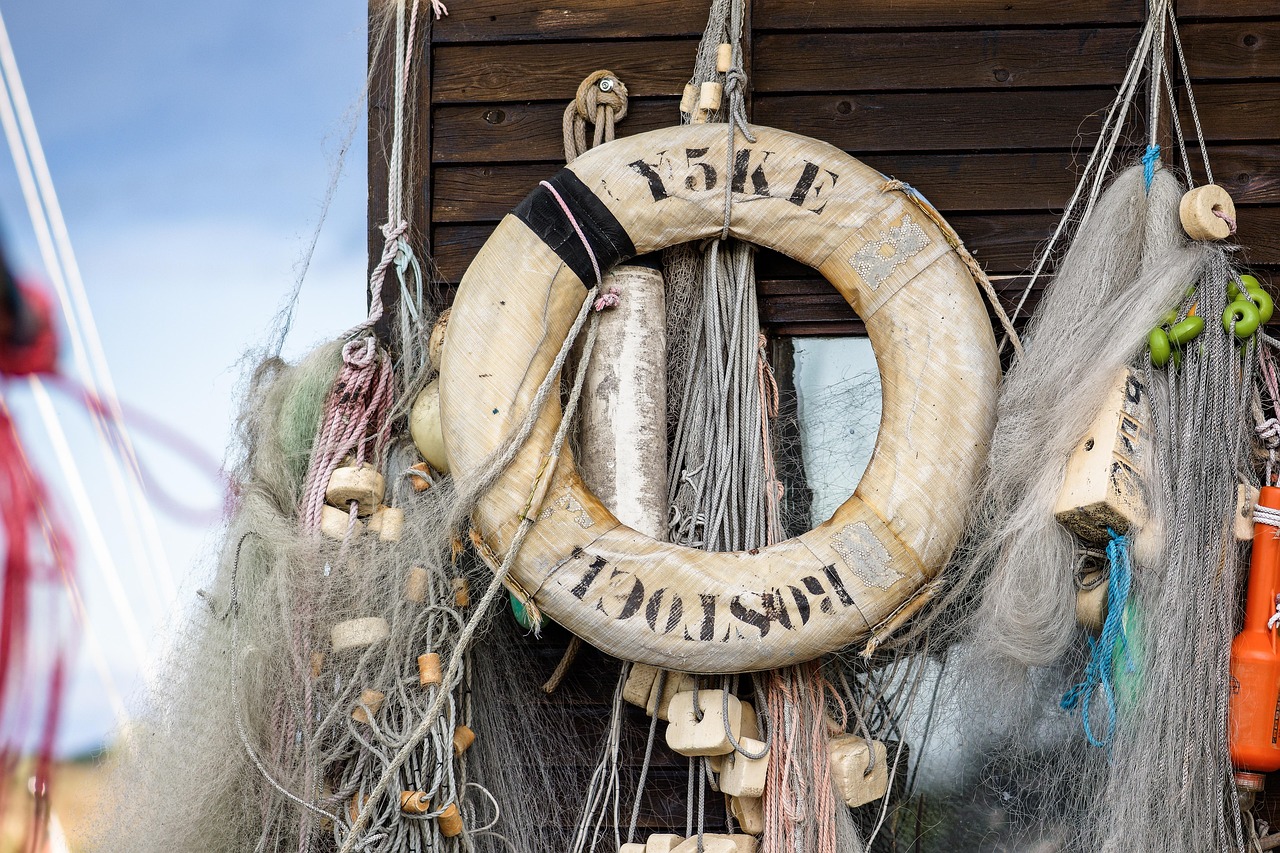découvrez l'impact environnemental de la pêche et les pratiques durables pour préserver les écosystèmes marins.