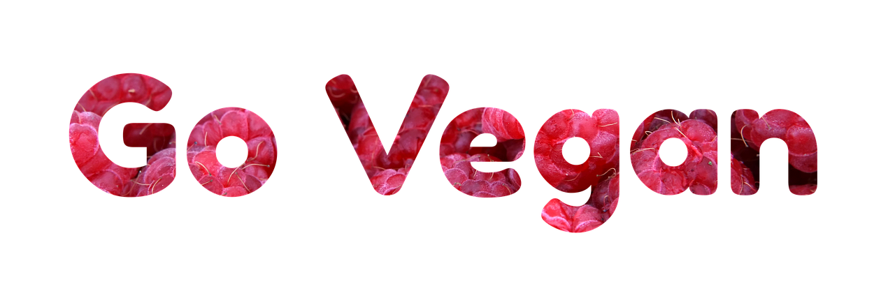 adoptez un mode de vie durable en découvrant des conseils pratiques pour réduire votre impact environnemental et vivre en harmonie avec la planète.