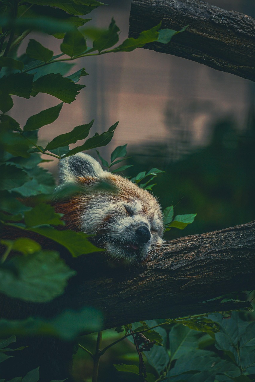 d&eacute;couvrez comment faire face &agrave; une vague de chaleur intense, avec des conseils pratiques pour rester au frais et en s&eacute;curit&eacute; durant une heatwave.