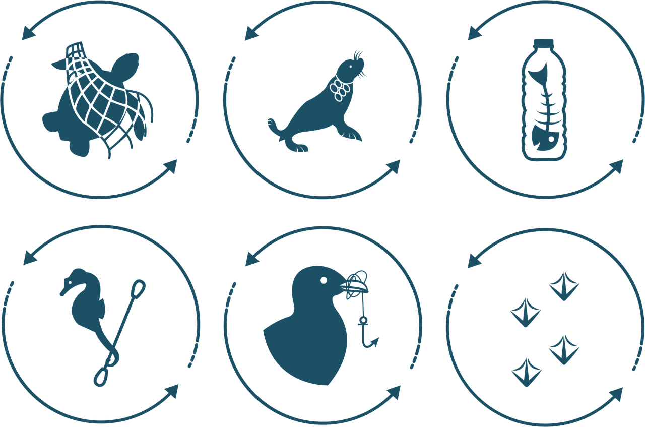 d&eacute;couvrez les enjeux li&eacute;s au plastique contamin&eacute;, ses impacts environnementaux et les solutions possibles pour un recyclage efficace et responsable.
