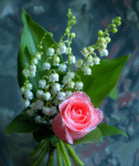 d&eacute;couvrez le muguet, une fleur d&eacute;licate et parfum&eacute;e symbole du bonheur et du renouveau au printemps.