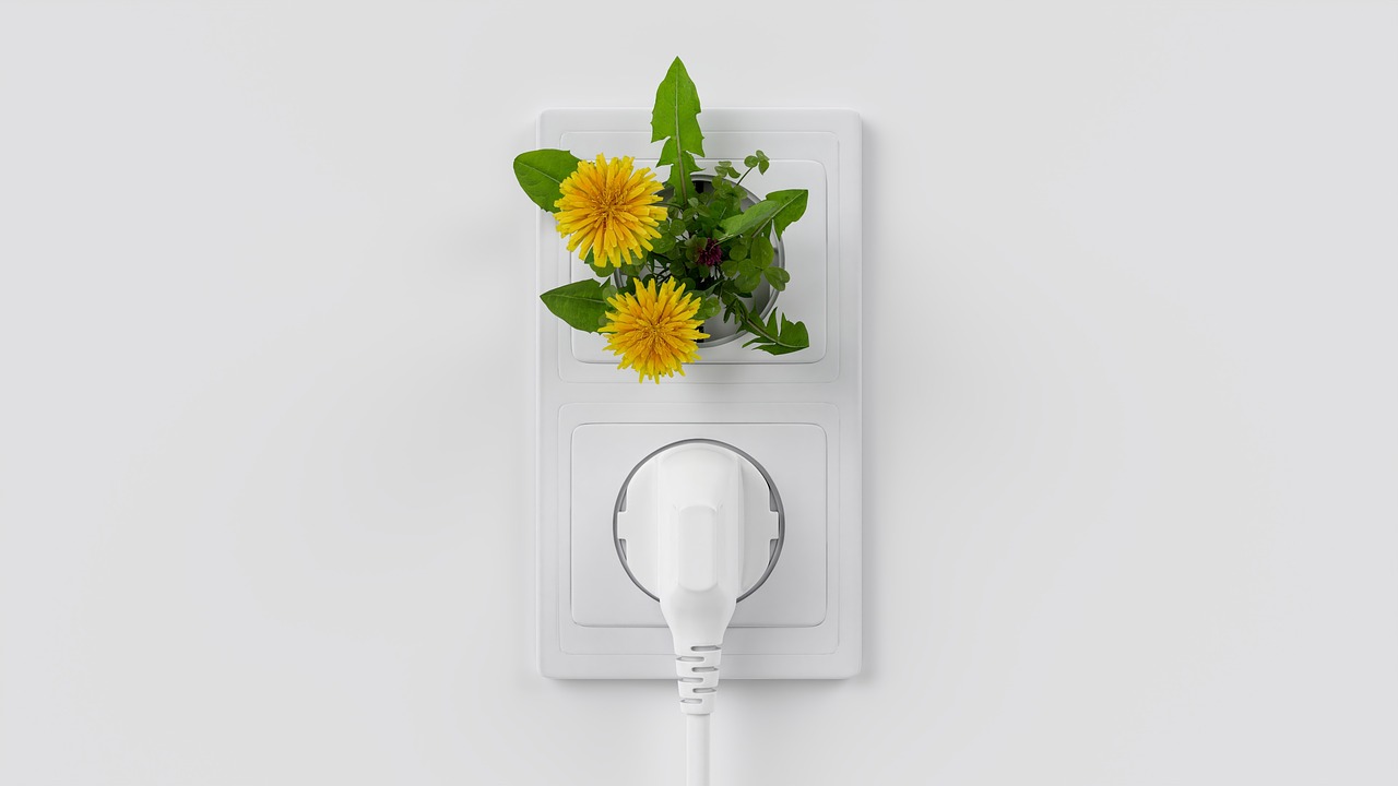 d&eacute;couvrez les enjeux et solutions de la transition &eacute;cologique pour un avenir durable et respectueux de l'environnement.