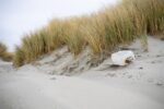 d&eacute;couvrez les causes, les cons&eacute;quences et les solutions &agrave; la pollution plastique pour pr&eacute;server notre environnement et promouvoir un avenir durable.