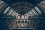 d&eacute;couvrez les principes du design mus&eacute;al durable, alliant innovation, respect de l'environnement et exp&eacute;rience immersive pour un avenir &eacute;co-responsable des mus&eacute;es.